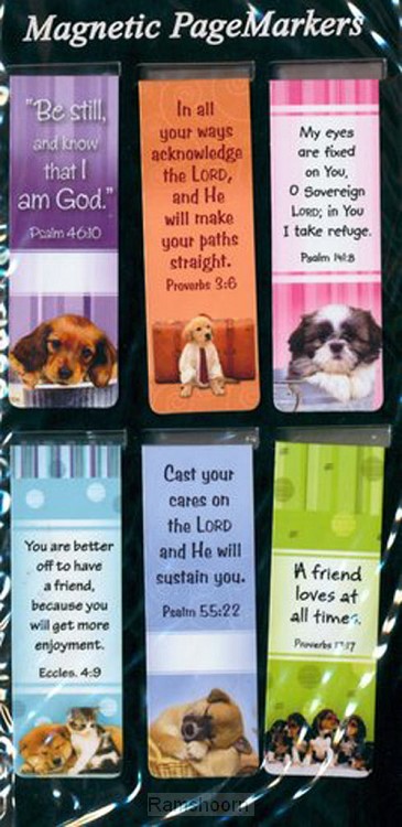 Dogs - 005