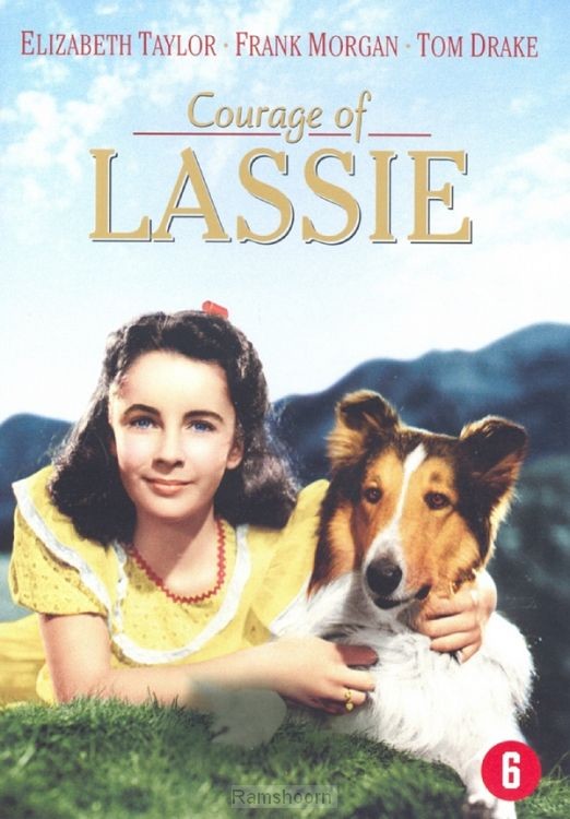 Lassie