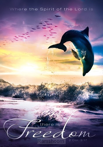 Poster a3 freedom