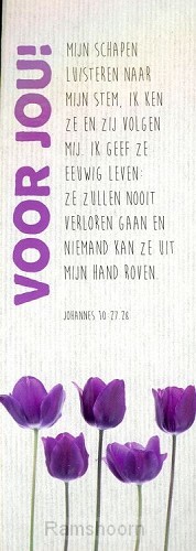 Boekenlegger voor jou