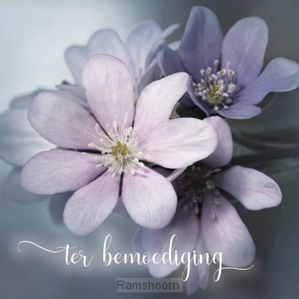 Kaart ter bemoediging