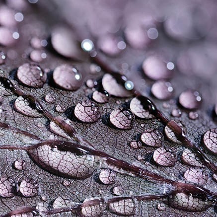 Kaart druppels blanco