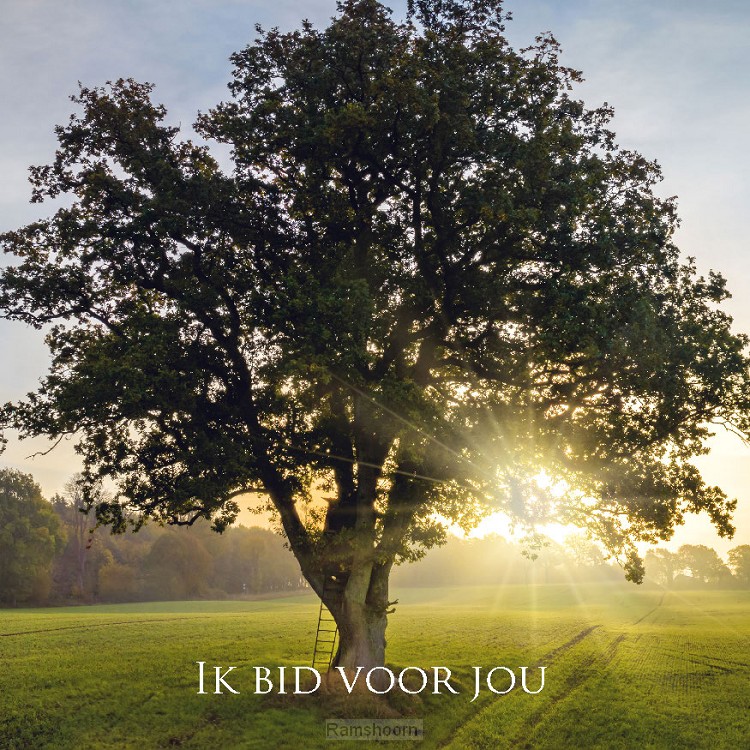 Kaart ik bid voor jou