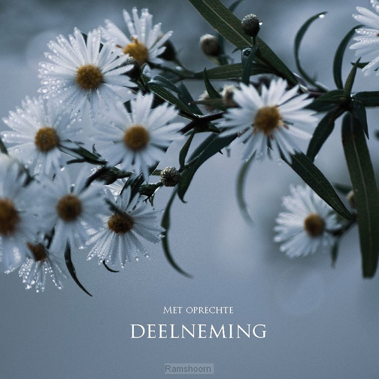 Kaart met oprechte deelneming