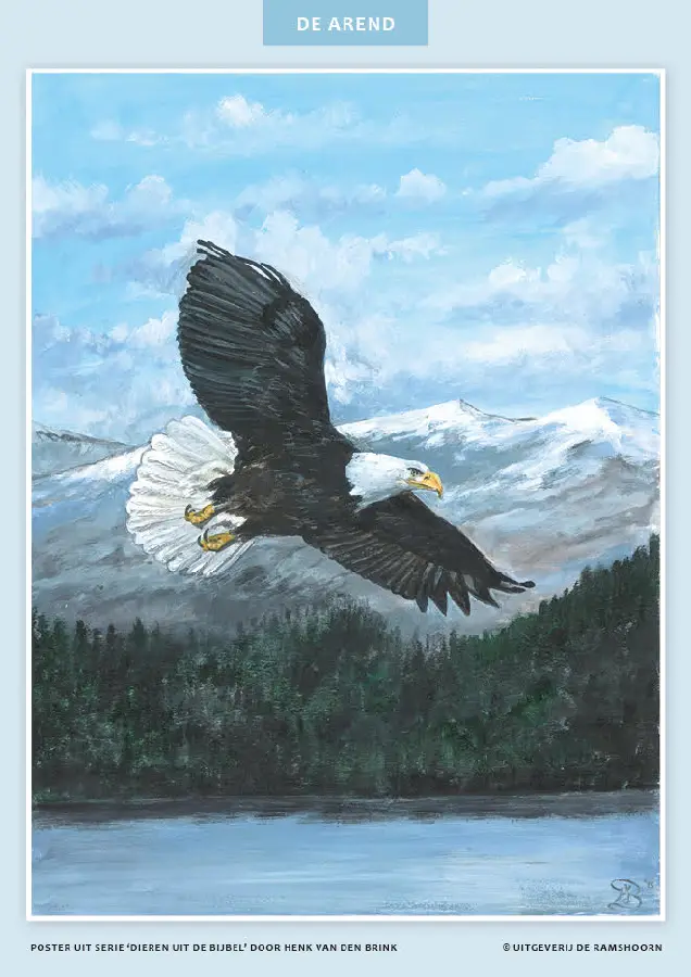 Miniposter dieren uit de bijbel 32 delig