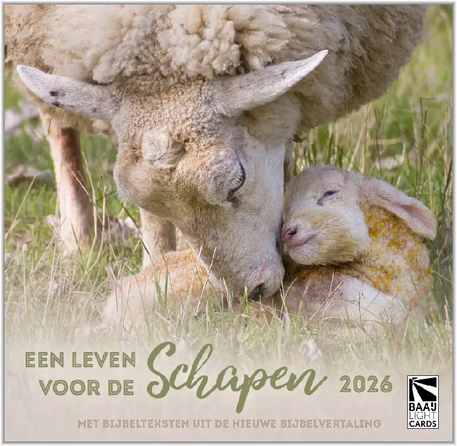 Een leven voor de schapen 2026 - NBV21