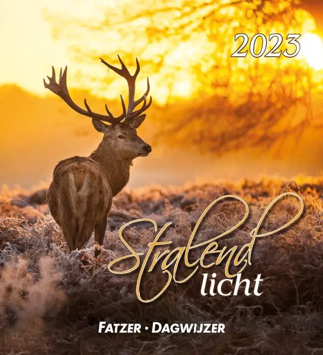 Kalender 2023 hsv stralend licht