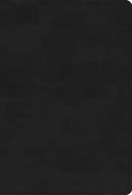 ESV - Large Print Compact Bible -RL