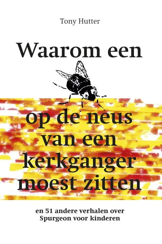Waarom een vlieg op de neus van een kerk