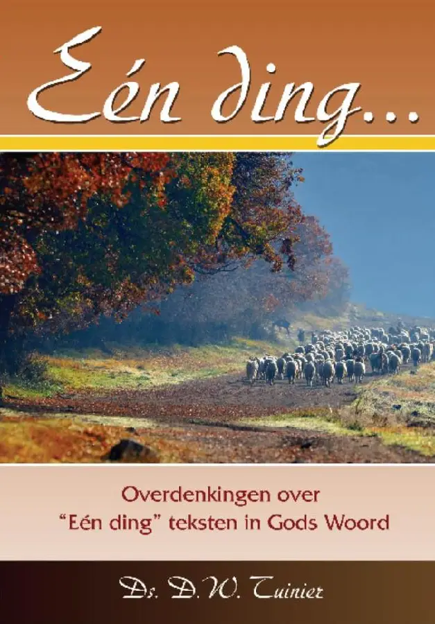 Een ding
