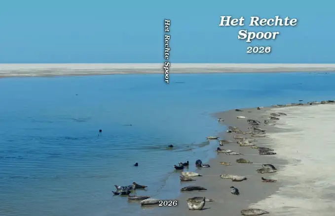 In het rechte spoor - 2026