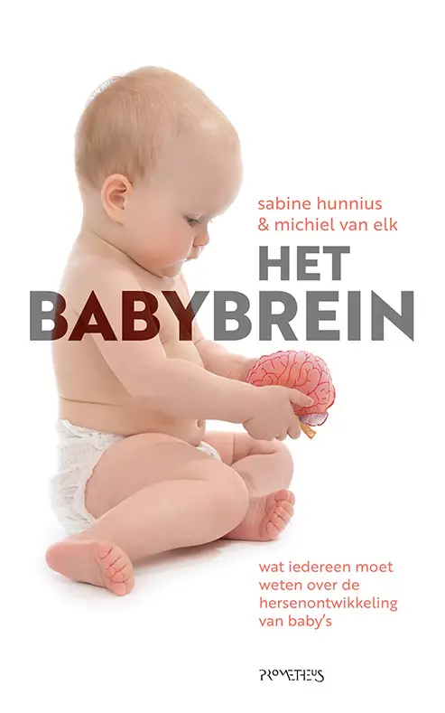 Het babybrein