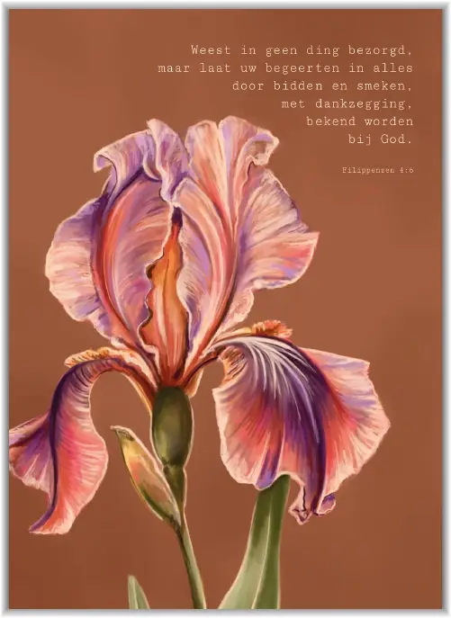 Kaartje A7 Weest in geen ding bezorgd