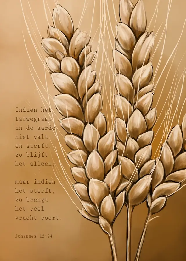 Poster A4 Indien het tarwegraan