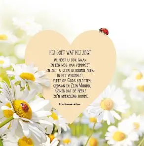 Wenskaart toch niet alleen