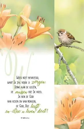 Wenskaart huil maar gerust