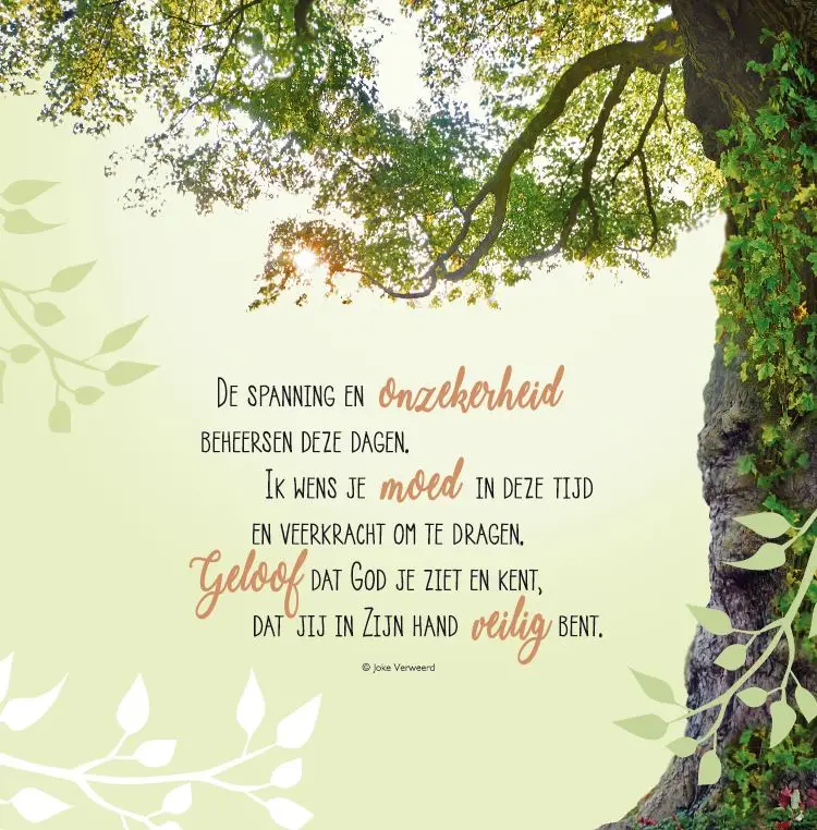 Wenskaart morgen