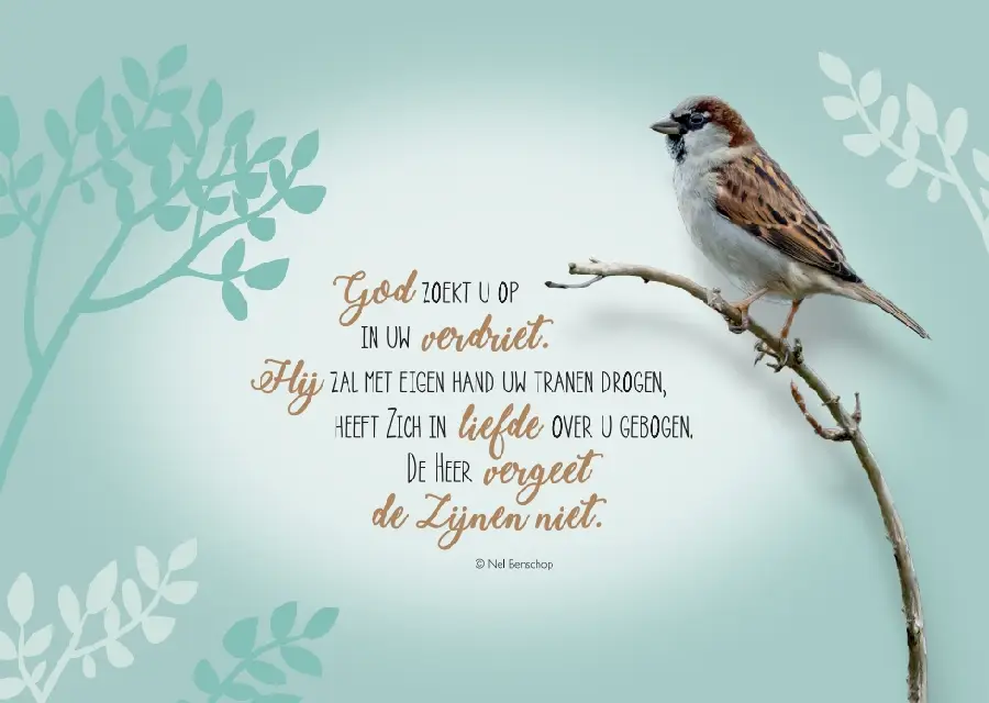 Wenskaart de levensgids