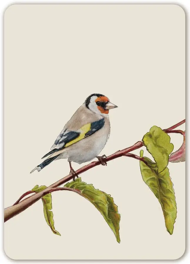 De wijsheid die God geeft is