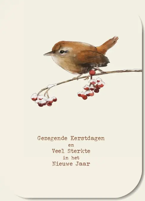 Gezegende kerstdagen - sterkte