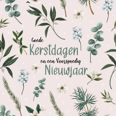 Kerstbox Goede K/N