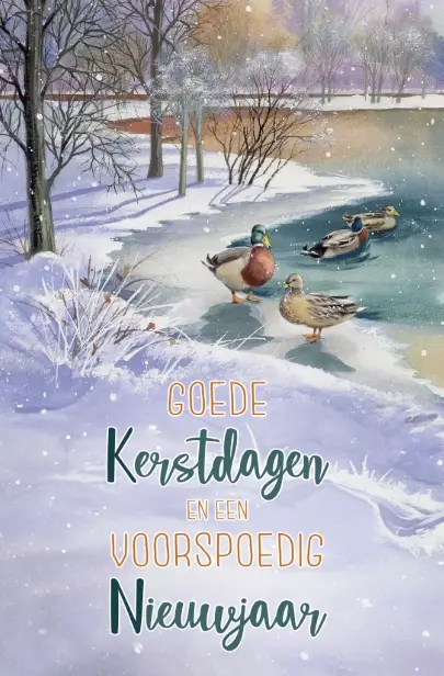 Wenskaarten light 4 ever 8 luxe wenskaar