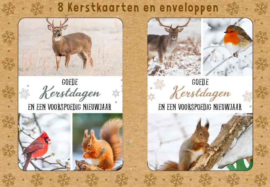 Kerstbox Goede K/N