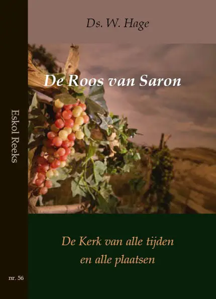 Roos van saron