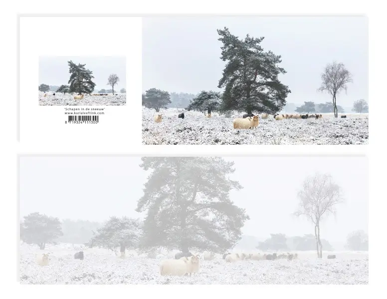 Panoramawenskaart zt Schapen in sneeuw