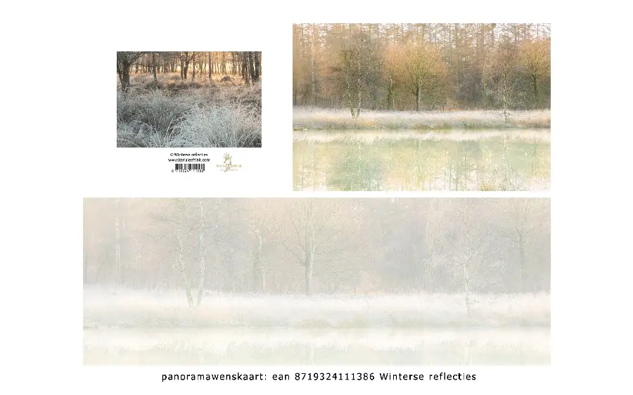 Panoramawenskaart zt winterse reflecties