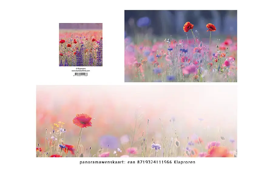 Panoramawenskaart klaprozen