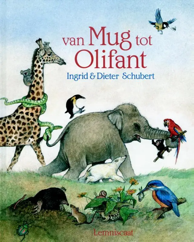 Van mug tot olifant / druk 1
