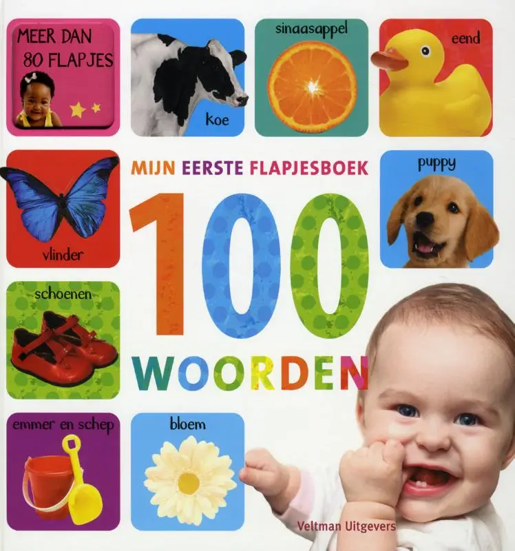 Mijn eerste flapjesboek 100 woorden / dr