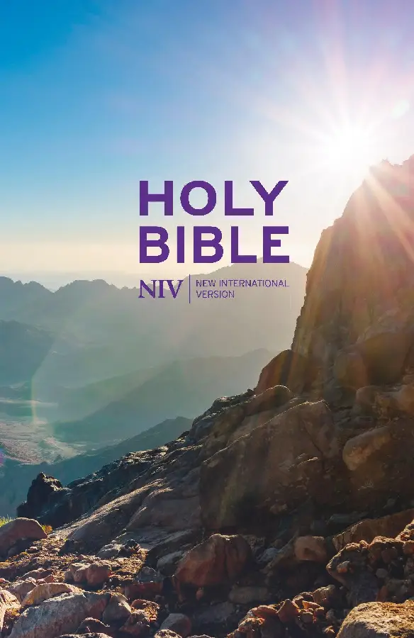 NIV - Thinline Value Bible