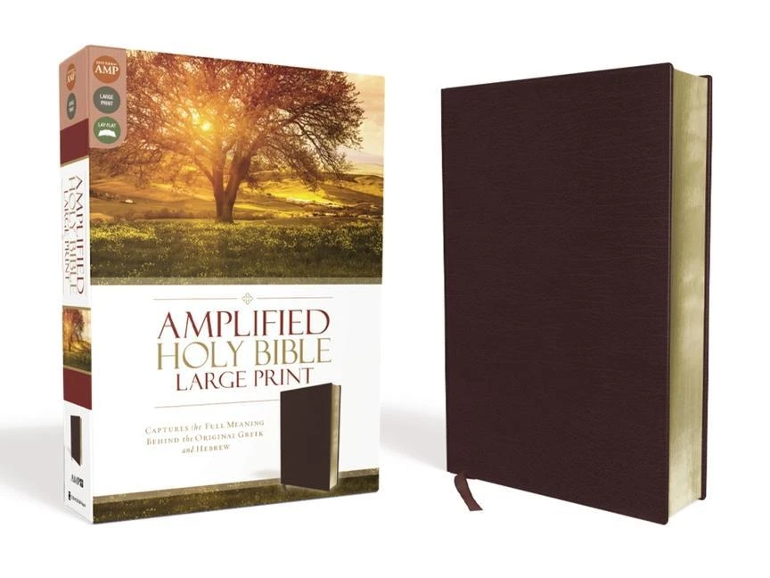 Amplified Bible