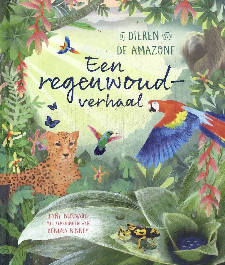 Regenwoudverhaal