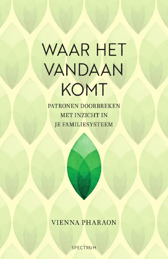 Waar het vandaan komt